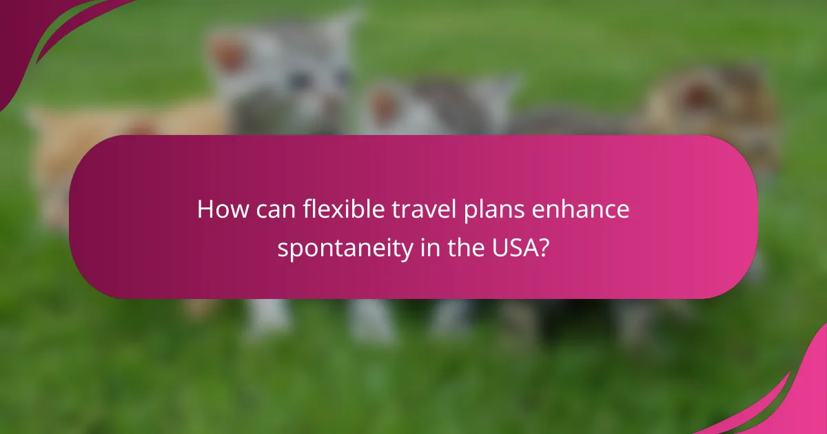 How can flexible travel plans enhance spontaneity in the USA?