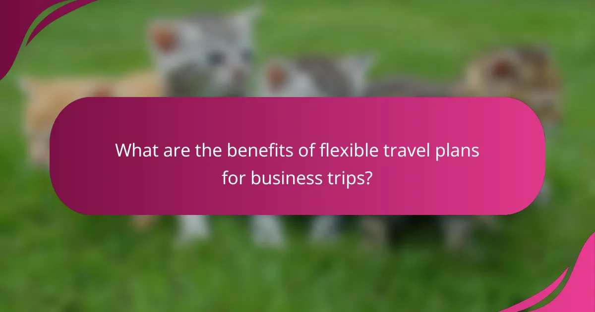 What are the benefits of flexible travel plans for business trips?