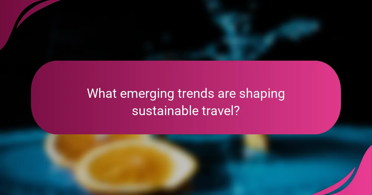 What emerging trends are shaping sustainable travel?